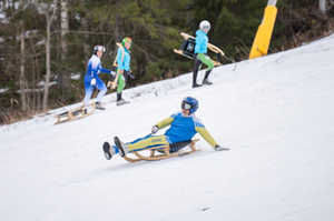 Alpine Luge Sweden, World Luge Day
