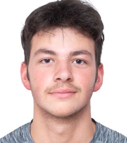 Musei Vlad Florin Rou At 2025