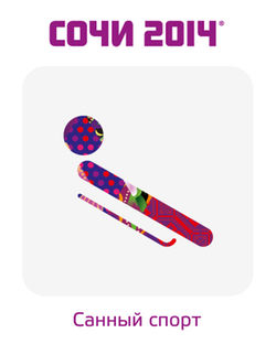 Pictogram Luge 02