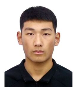 Wang Q